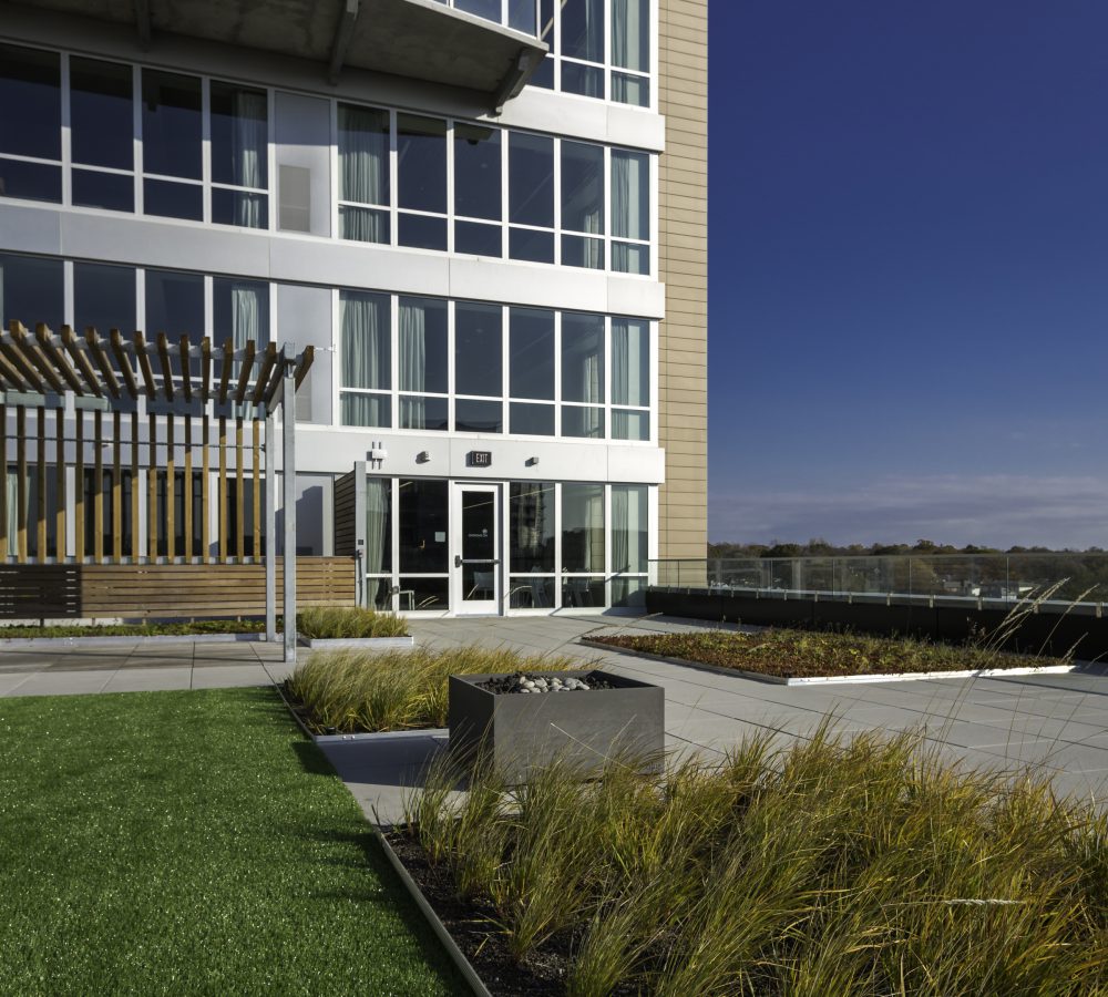 Green roof at Chauncey Tower