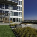 Green roof at Chauncey Tower